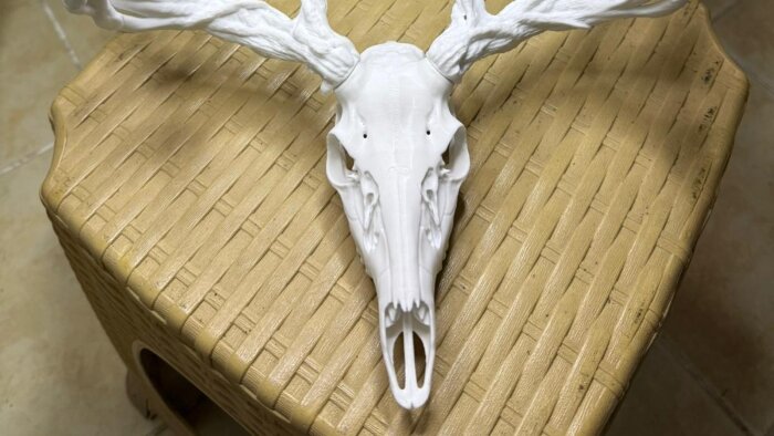 istediğiniz modelin 3D tasarım ve baskısını hazırlayabilirim