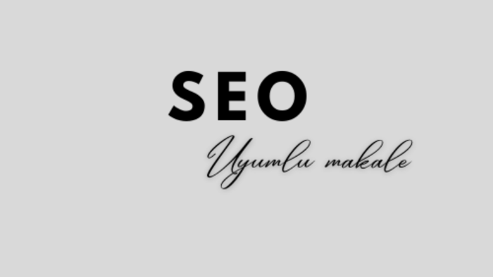 Web siteniz için SEO uyumlu İngilizce makaleler yazabilirim
