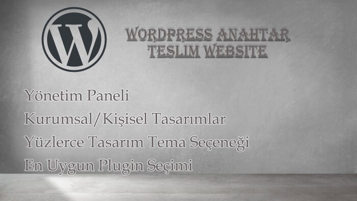 sizin için hayalini kurduğunuz wordpress sitesi yapabilirim