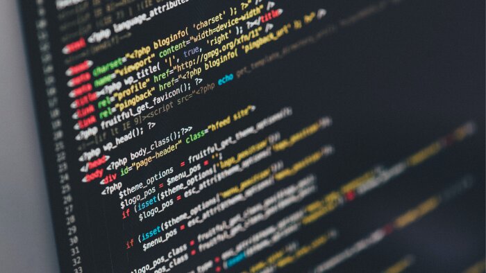 profesyonel  web site hizmeti verebilirim