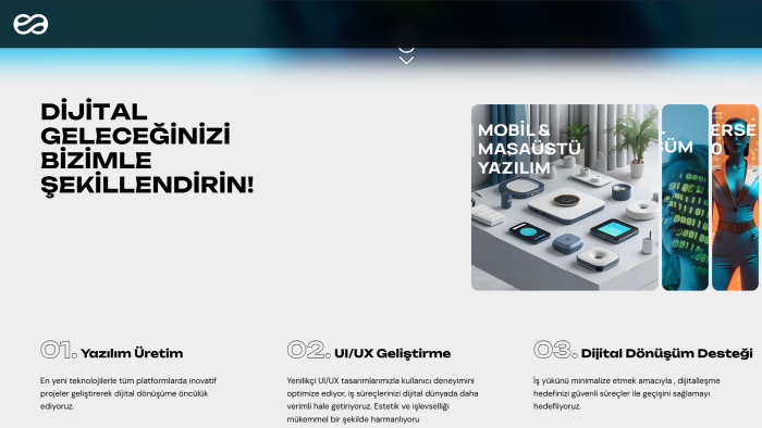profesyonel site tasarlarım