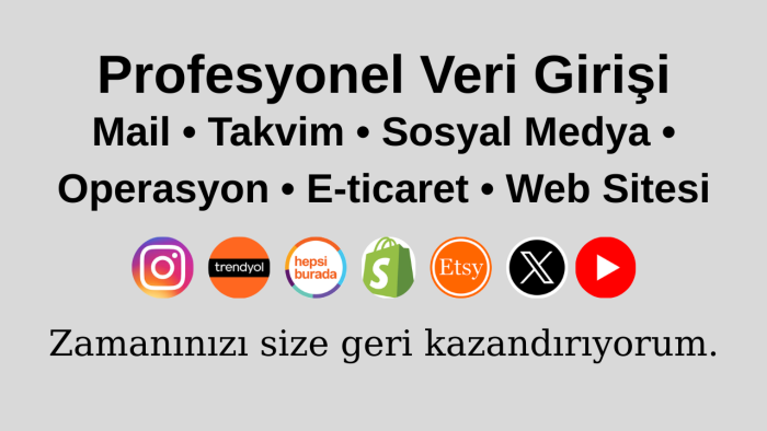 veri girişi işlerinizi yaparım