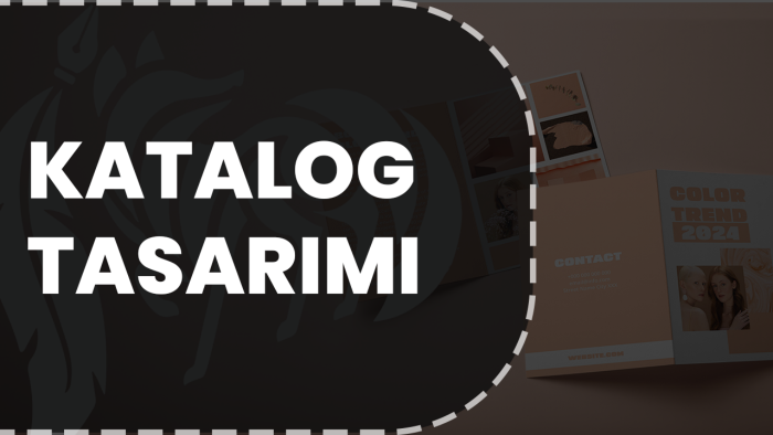profesyonel kataloglar tasarlarım