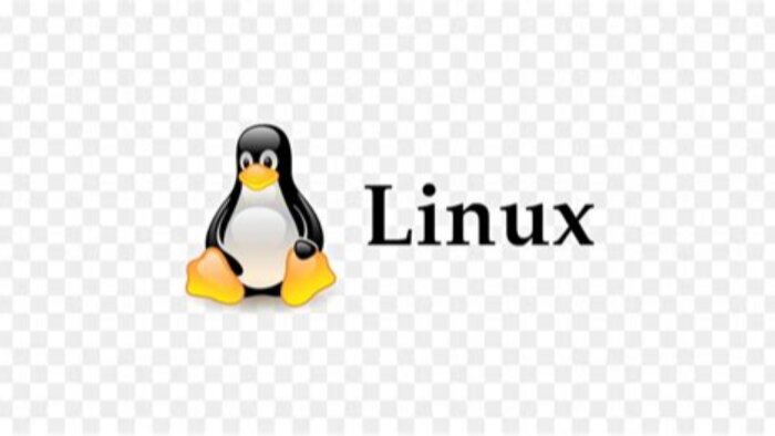 Linux ve Bash script konusunda yardımcı olabilirim