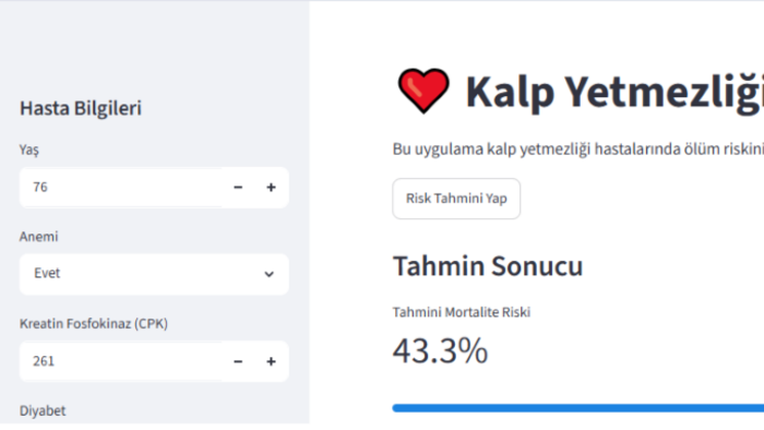 klinik veriniz için yapay zeka ve web paneli hazırlarım