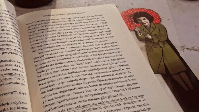inceleme yaparım ve özet yazarım
