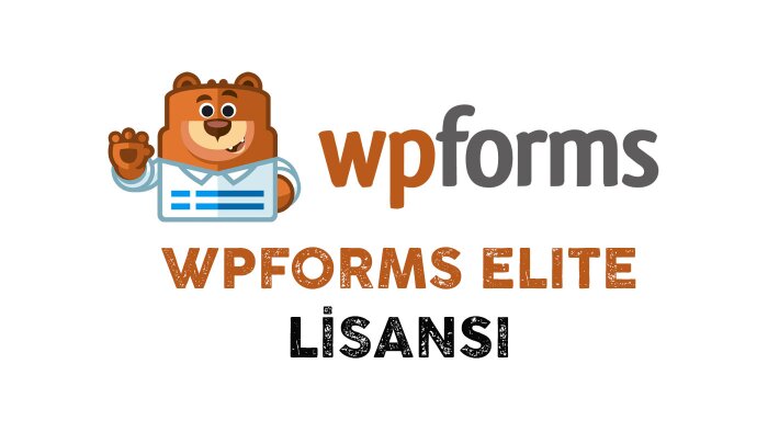 WPForms Elite eklenti kurulumu ve aktivasyonu yapıyorum