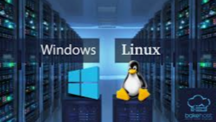linux ve windows server  kurulumu yapabilirim