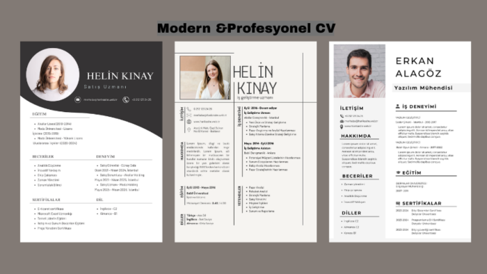 modern & profesyonel CV (PDF) hazırlıyorum