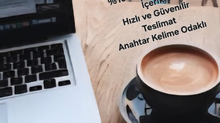 SEO uyumlu ve özgün blog makalesi yazabilirim