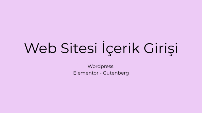 wordpress içerik girişi ve düzenleme yapıyorum