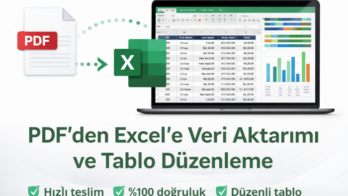 PDF'den Excel'e veri aktarımı ve tablo düzenleme yaparım