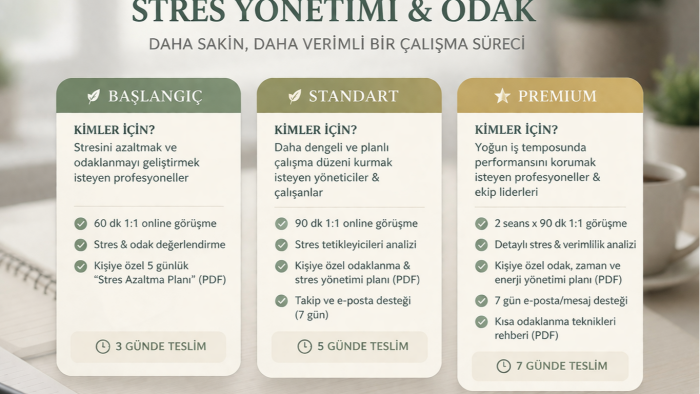 ekip ve bireylerin odak ve performansını artırabilirim