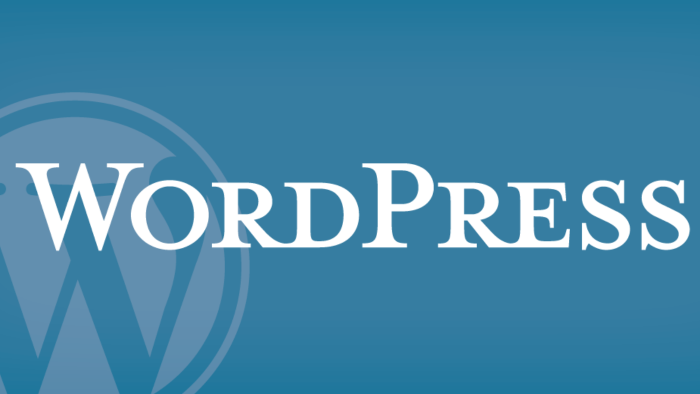 size sıfırdan wordpress web sitesi kurabilirim