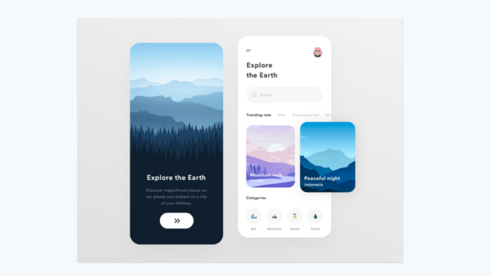 Flutter Framework'ü ile mobil uygulama geliştiririm