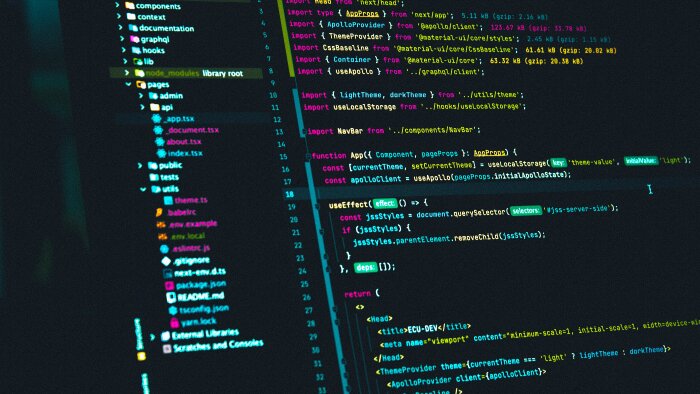javascript,html ve css desteği verebilirim
