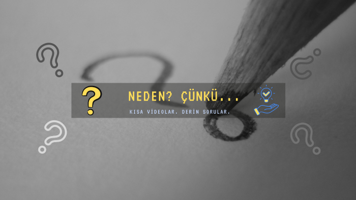 sosyal medya için profesyonel canva tasarımları yapıyorum
