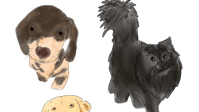 evcil hayvanlarınız için dijital portre çiziyorum