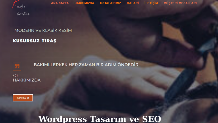 WordPress sitenizi profesyonelce kurabilirim