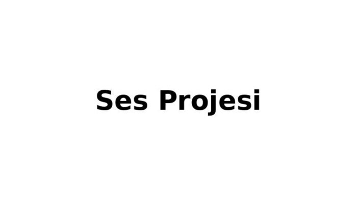 profesyonel seslendirme yapıyorum
