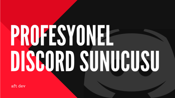 profesyonel discord sunucusu kurarım
