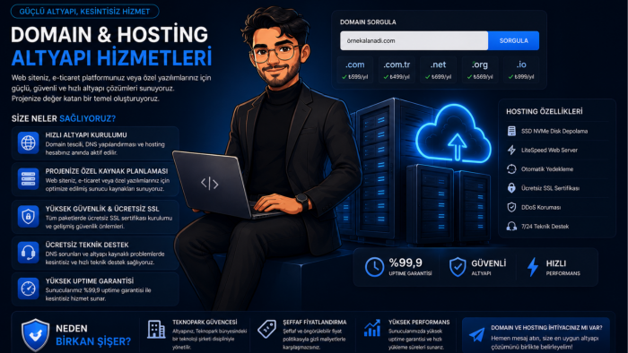 profesyonel domain ve hosting altyapı hizmetinizi kurarım