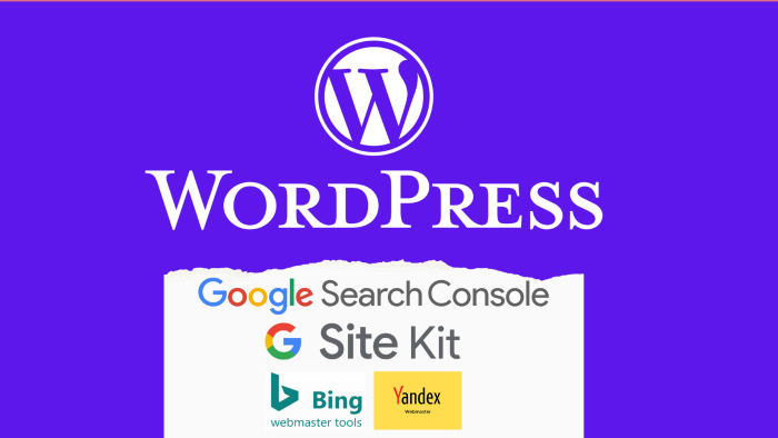 google analiystic kurarak web sitenizin analizini yaparım