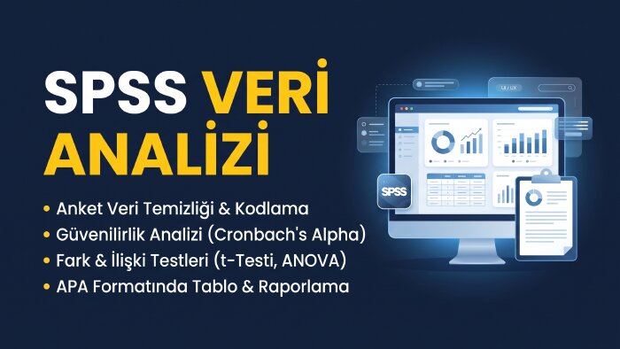 anket verilerini SPSS ile analiz edip APA formatında sunarım