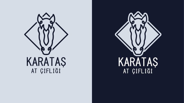 senin için minimal logo tasarlayabilirim