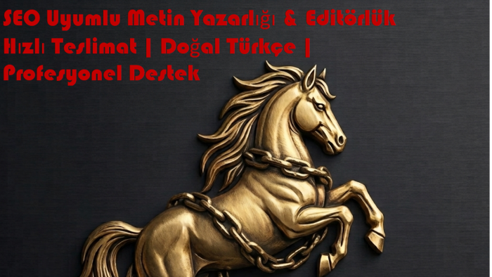 e-ticaret mağaza desteği ve müşteri destek hizmeti veriyorum