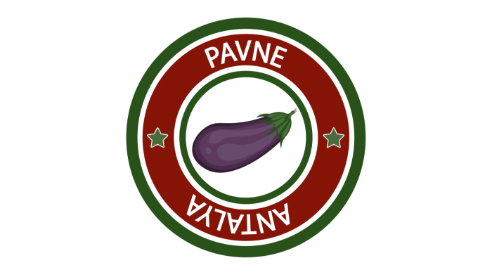 logo ve afiş tasarımı konusunda uzmanım