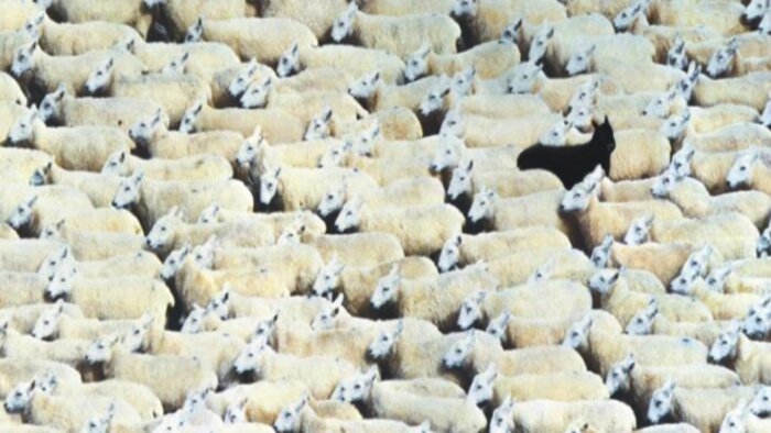markanız için yaratıcı reklam senaryosu yazarım