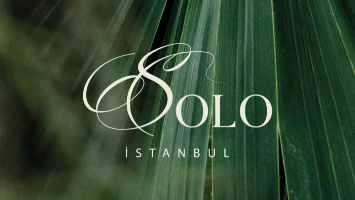 sade ve profesyonel logo tasarımı yaparım