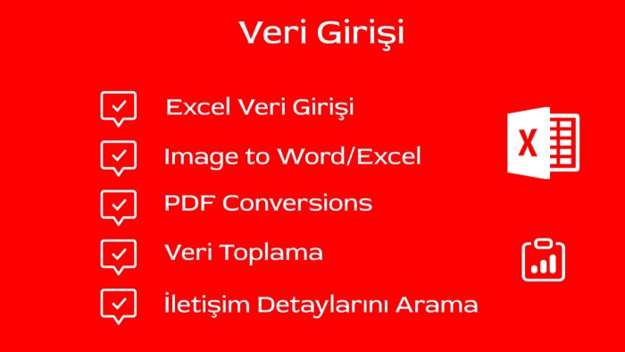 her türlü veri girişi yapabilirim