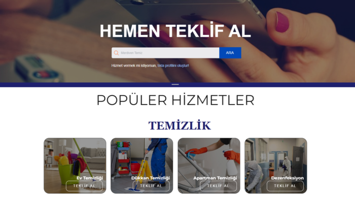 anahtar teslim web sitesi yaparım