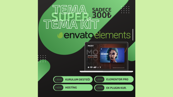 istediğiniz temanın kurulumunu yapabilirim