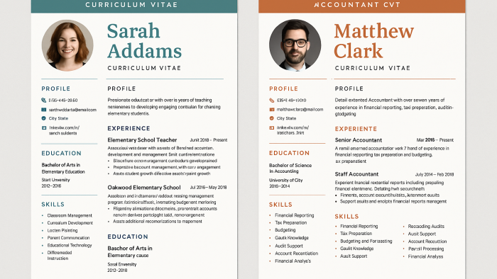 modern ve etkileyici cv tasarımları yaparım
