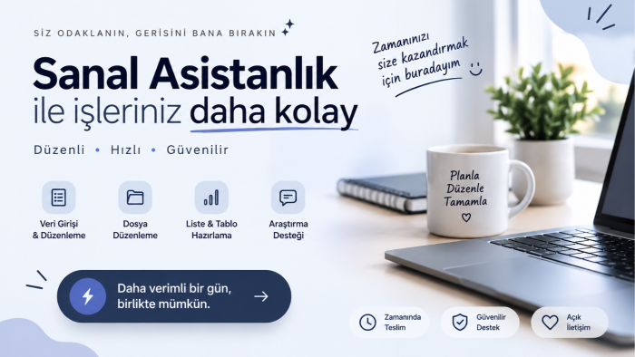 veri girişi ve sanal asistanlık desteği veririm