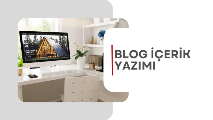 ilgi çekici ve özgün blog yazıları yazabilirim