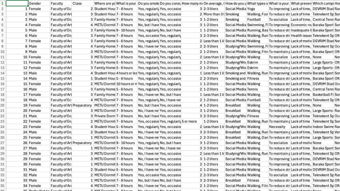 excel ile veri düzenleme ve raporlama yapıyorum