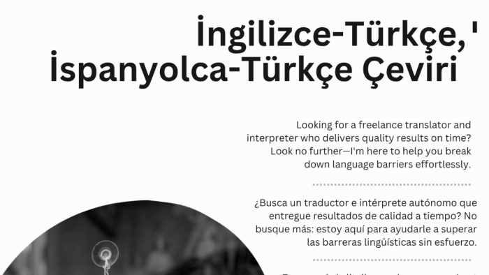 ispanyolca,ingilizce,türkçe çeviriyi uygun fiyata yaparım