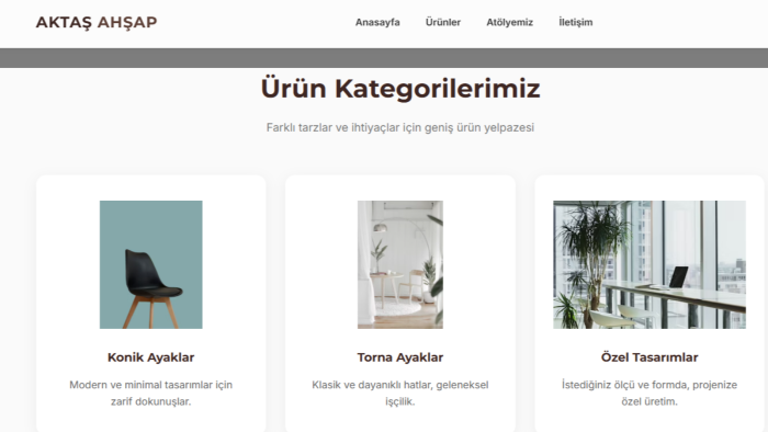 modern ve güçlü web uygulamaları geliştiririm