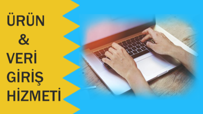 e-ticaretteki ürün ve detay girişlerini yapabilirim