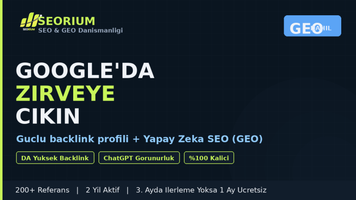 seo ve backlink çalışması yaparım