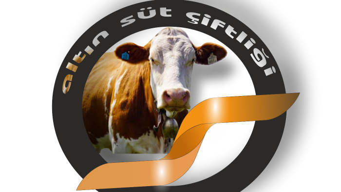 sizin için modern, yaratıcı logo tasarımları oluşturabilirim