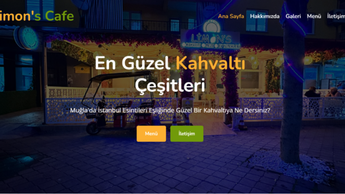size özel site hazırlarım