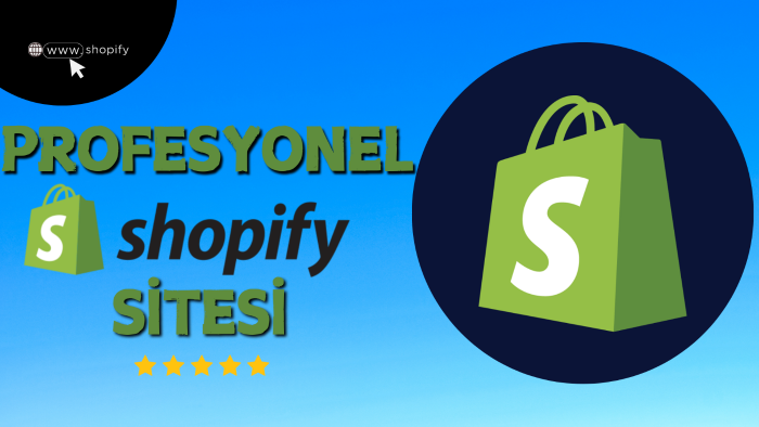 Shopify ile profesyonel bir mağaza oluşturabilirim