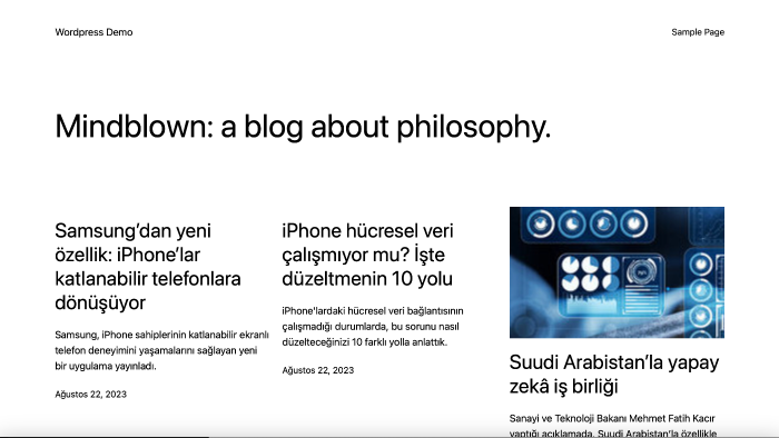 wordpress ile anahtar teslim site kurabilirim
