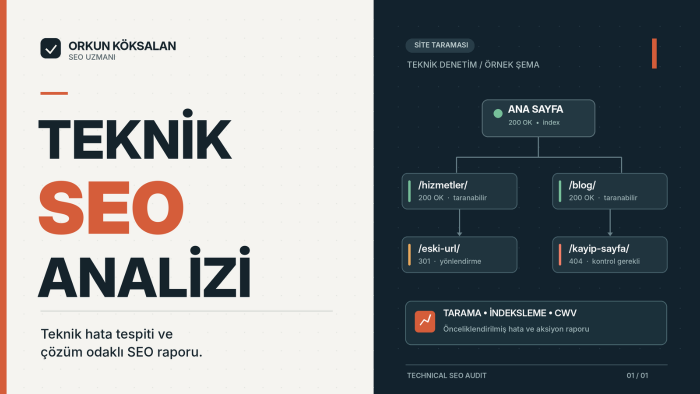 sitenizin teknik SEO analizini yapar, hataları raporlarım