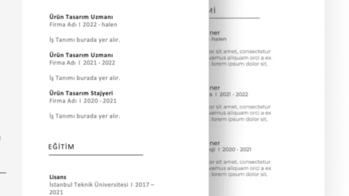 sizin için titizlikle cv hazırlayabilirim